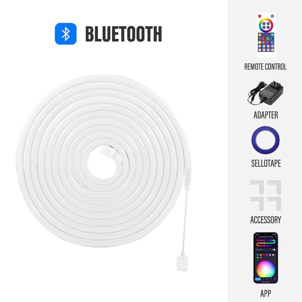 RGBIC Neon Light with WIFI | Homemotto - homemotto